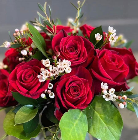 Blossoms and Butterflies Phillipsburg Kansas